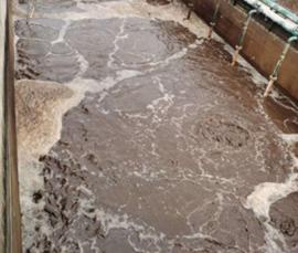 貴陽某禽蛋配送中心污水處理工程