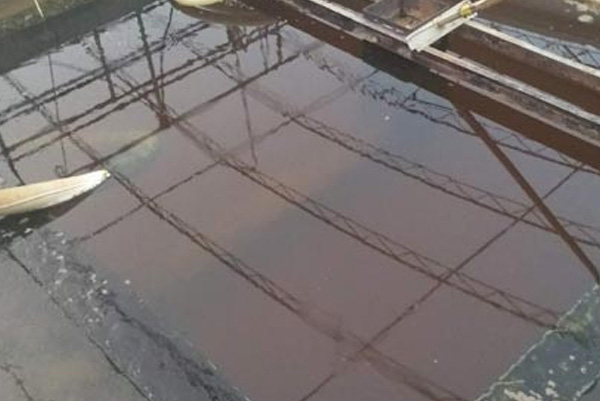 食品加工廢水 食品加工廢水